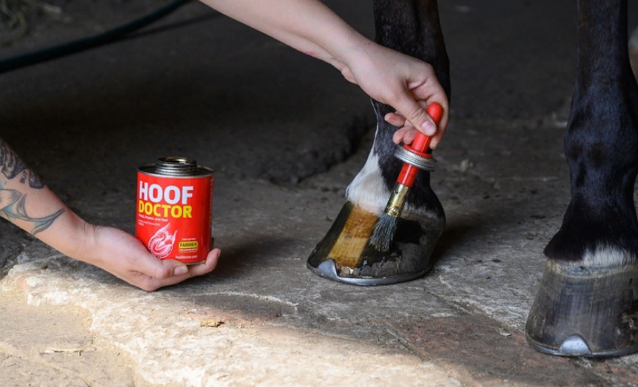 a retailer Hoof Doctor